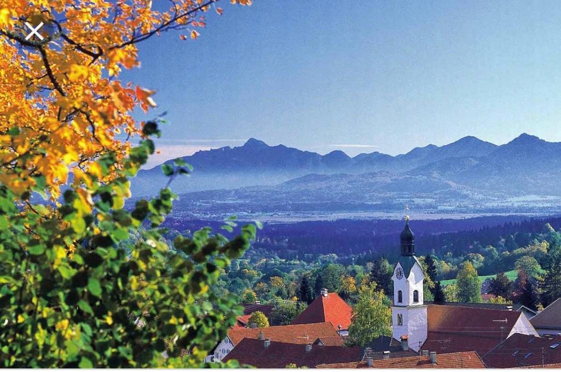Alpenblick Daire Bad Kohlgrub Dış mekan fotoğraf
